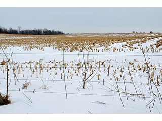 Property photo 33 - AUCTION, 206 Contiguous Acres offered in 5 Tracts
